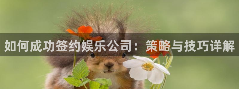 顺盈娱乐：如何成功签约娱乐公司：策略与技巧详解