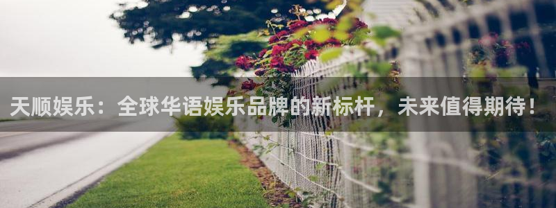 顺盈娱乐：天顺娱乐：全球华语娱乐品牌的新标杆，未来值得期待！