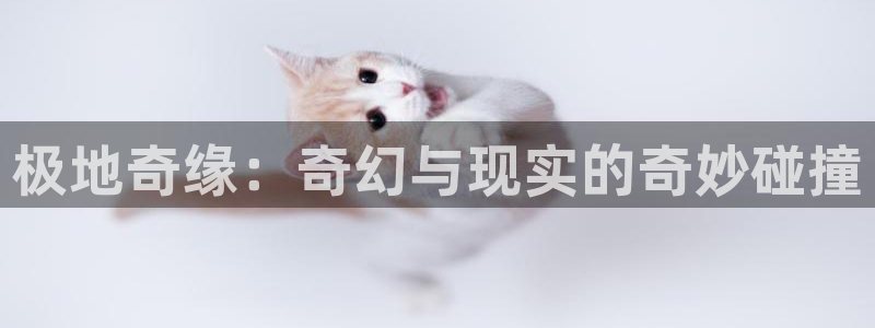 顺盈娱乐：极地奇缘：奇幻与现实的奇妙碰撞