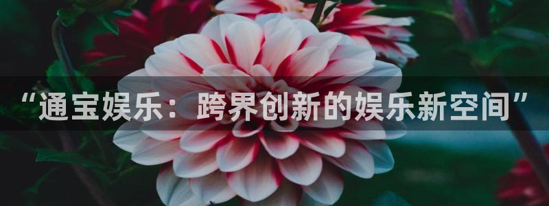 顺盈娱乐：“通宝娱乐：跨界创新的娱乐新空间”