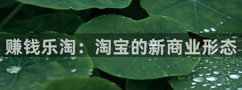 顺盈娱乐：赚钱乐淘：淘宝的新商业形态
